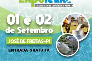 Exposição de Laticínios e Peixe de José de Freitas (Foto: Governo do Piauí/SADA)