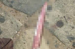 Homem é morto por vizinho a golpes de faca (Foto: Divulgação/PM-PI)