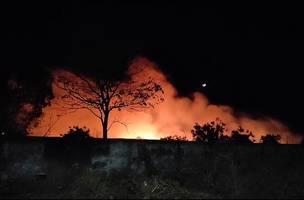 Incêndio atinge cemitério (Foto: Foto: Defesa Civil)