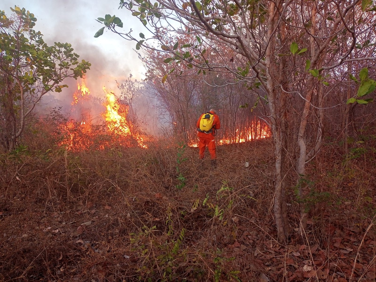 Incêndio atingiu fazenda no Sul do Piauí