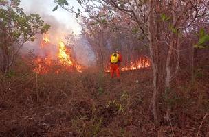Incêndio atingiu fazenda no Sul do Piauí (Foto: Ascom)