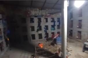 Local em que estavam enclausurados os animais apreendidos (Foto: Reprodução/Internet)