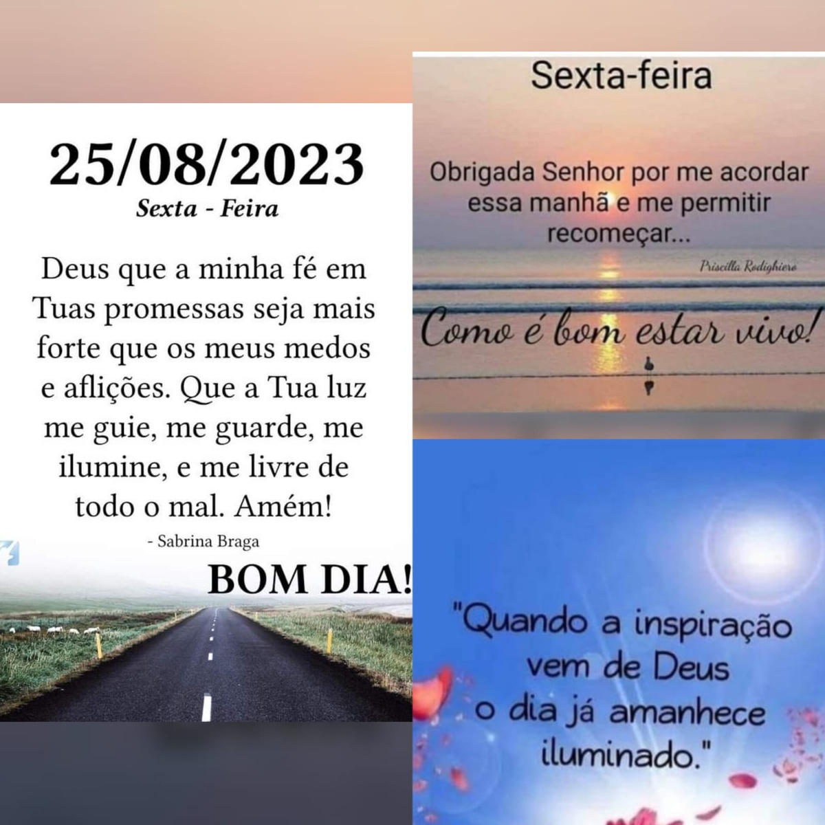 Pensamento do dia