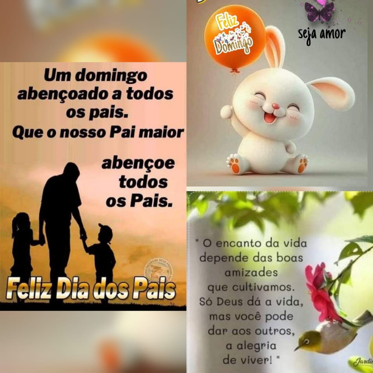 Pensamento do dia