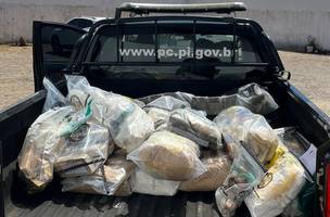 Polícia Civil incinera 190 kg de entorpecentes em Picos (Foto: Divulgação/PC-PI)