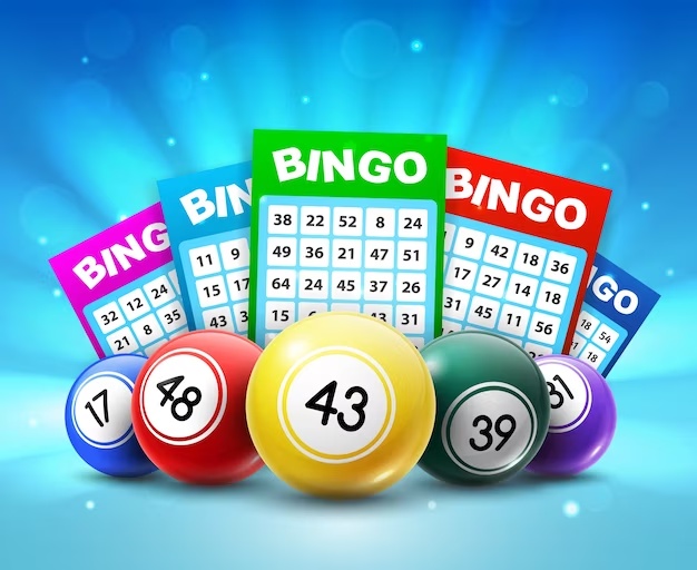 BIngo