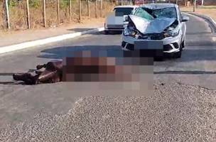 Cavalo morre em colisão com carro (Foto: BPTRAN)