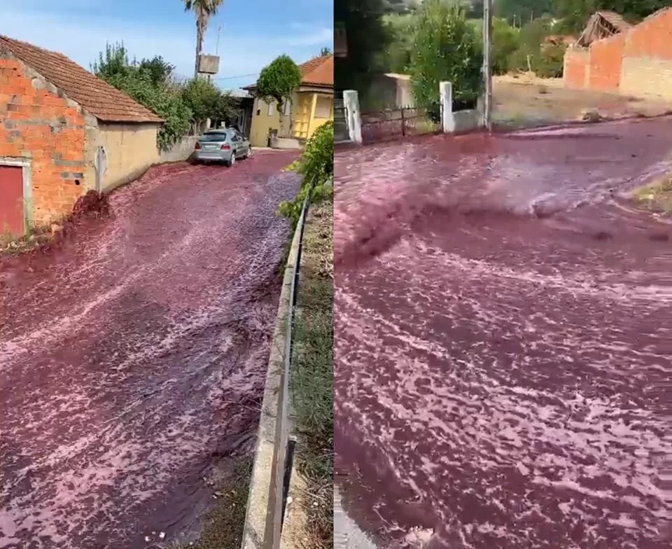 Explosão em Vinícola Portuguesa