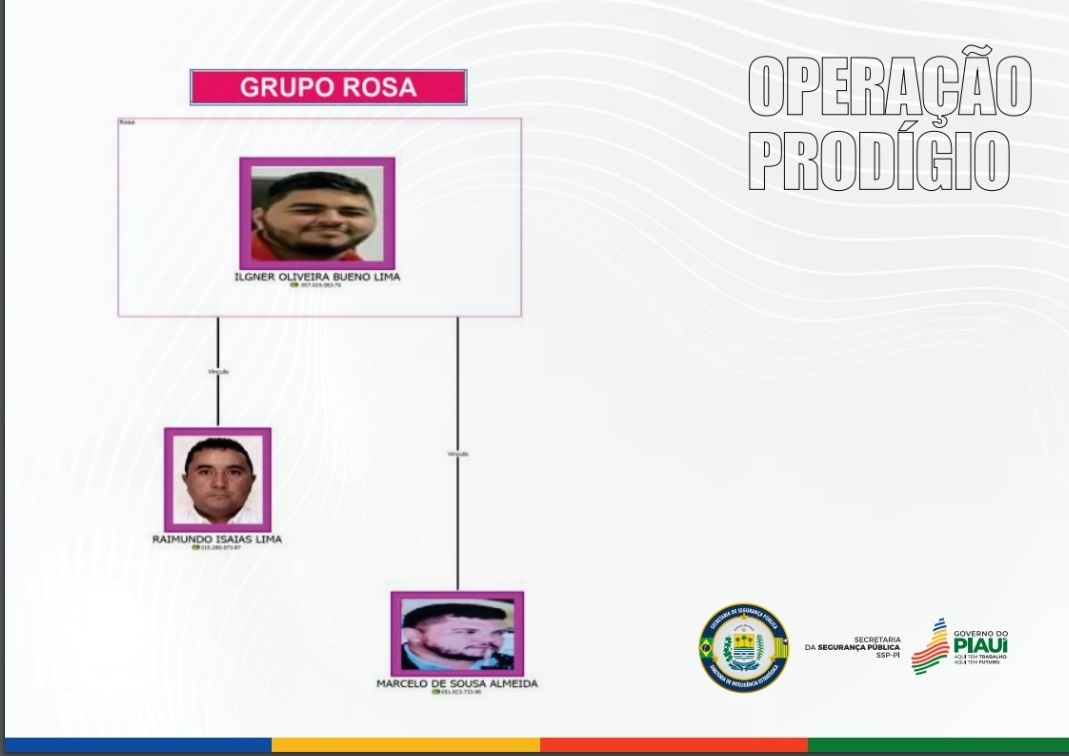 Grupo Rosa