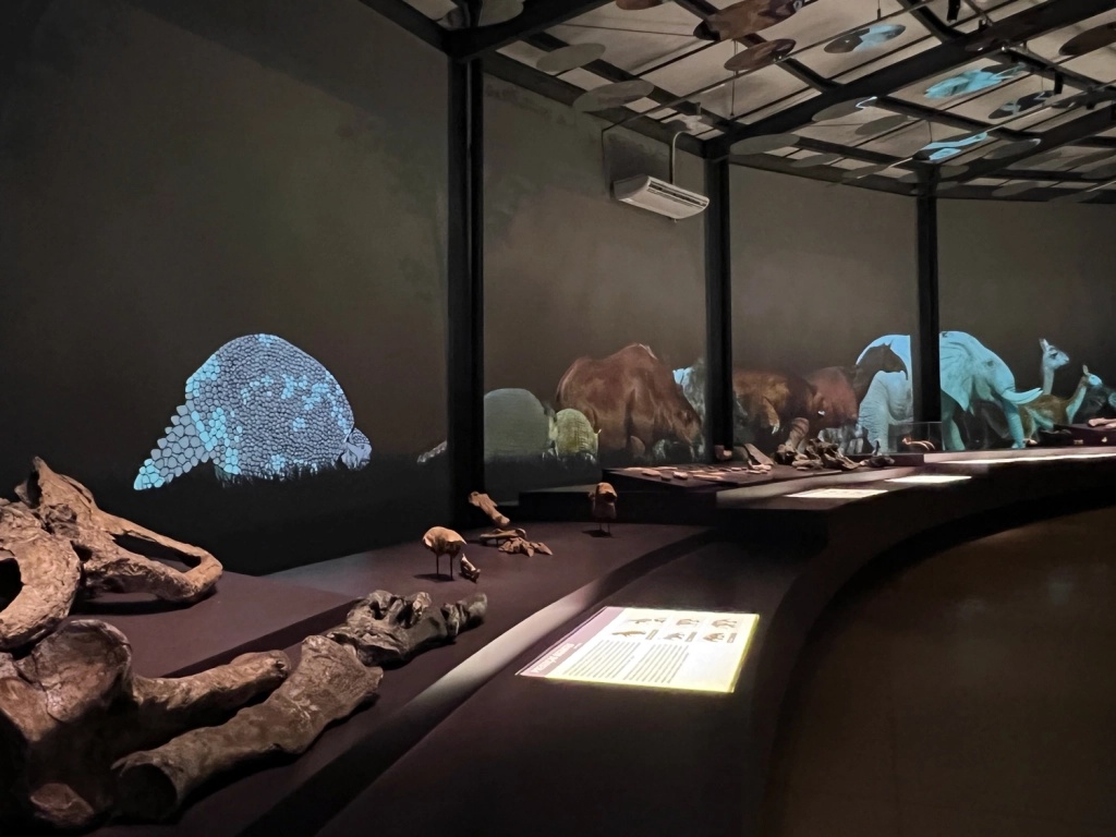 O Museu da Natureza ilustra a edição anual do 'Brasil em números'.