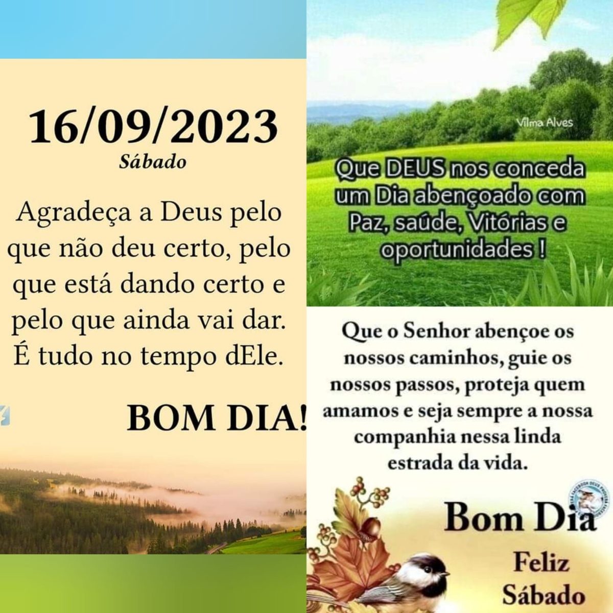 Pensamento do dia