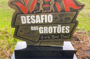 Troféu (Foto: Divulgação/Desafio dos Grotões)