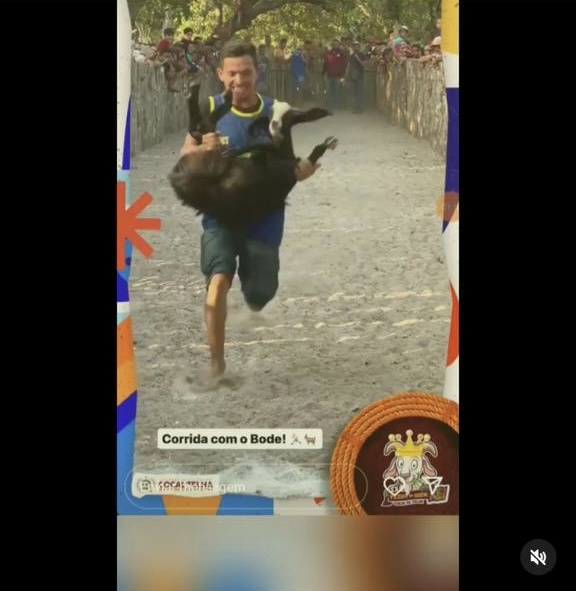 Uma aberracão pública e as autoridades nada fazem: as torturas aos animais na farra do Bode.