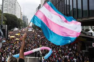Bandeira Transgênero, transexuais e travestis. (Foto: Reprodução / Google Imagens)