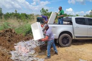 Carga de uma tonelada de camarão é destruída por irregularidades na tratamento e transporte (Foto: Divulgação/Adapi)