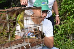 Devolução de animais silvestres à natureza (Foto: Governo do Piauí)