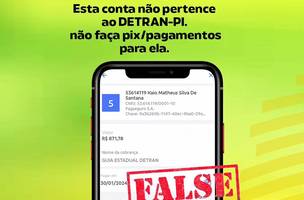 Fraude em site falso do DETRAN (Foto: Governo do Piauí)