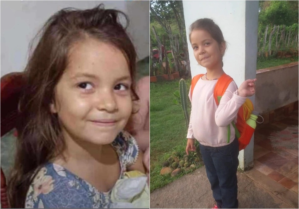 Nidia Giulia, de 8 anos, morreu em colisão na BR-343