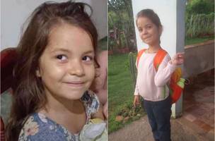 Nidia Giulia, de 8 anos, morreu em colisão na BR-343 (Foto: Reprodução)