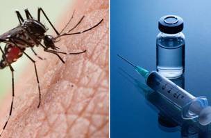 Piauí fica fora das doses prioritárias de vacina contra dengue (Foto: Reprodução)