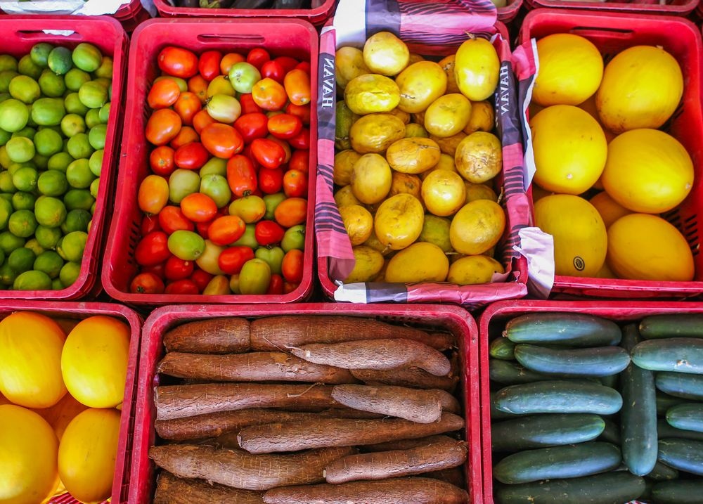 Programa Alimentação Saudável(PAS)