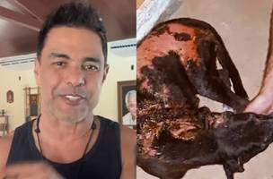 Zezé di Camargo vai adotar cadela que sofreu mais tratos em Teresina (Foto: Reprodução)