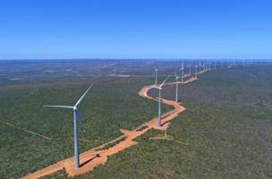 Aneel libera início de operação de três usinas de energia eólica para o Piauí (Foto: Divulgação)