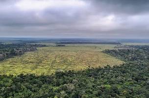 Área desmatada na Amazônia• Polícia Federal (Foto: • Polícia Federal)