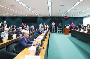 CCJ proibe decisões individuais (Foto: Câma dos Deputados)