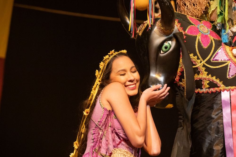 Espetáculo "A Menina e o Boizinho", do Piauí (Eder Gaioski).
