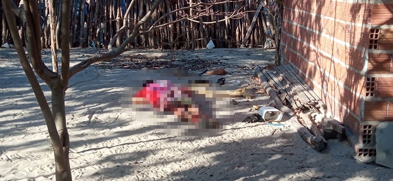 Homem é executado com 11 tiros na porta de casa em Luís Correia