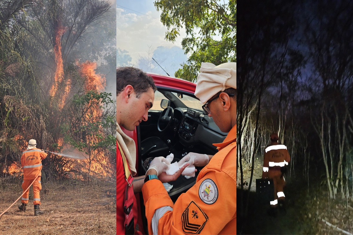 Incêndio em Cocal dos Alves já dura 4 dias