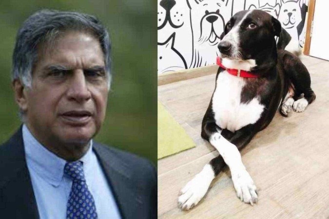O milionário deixou funcionários encarregados de prover cuidados ilimitados ao cachorro