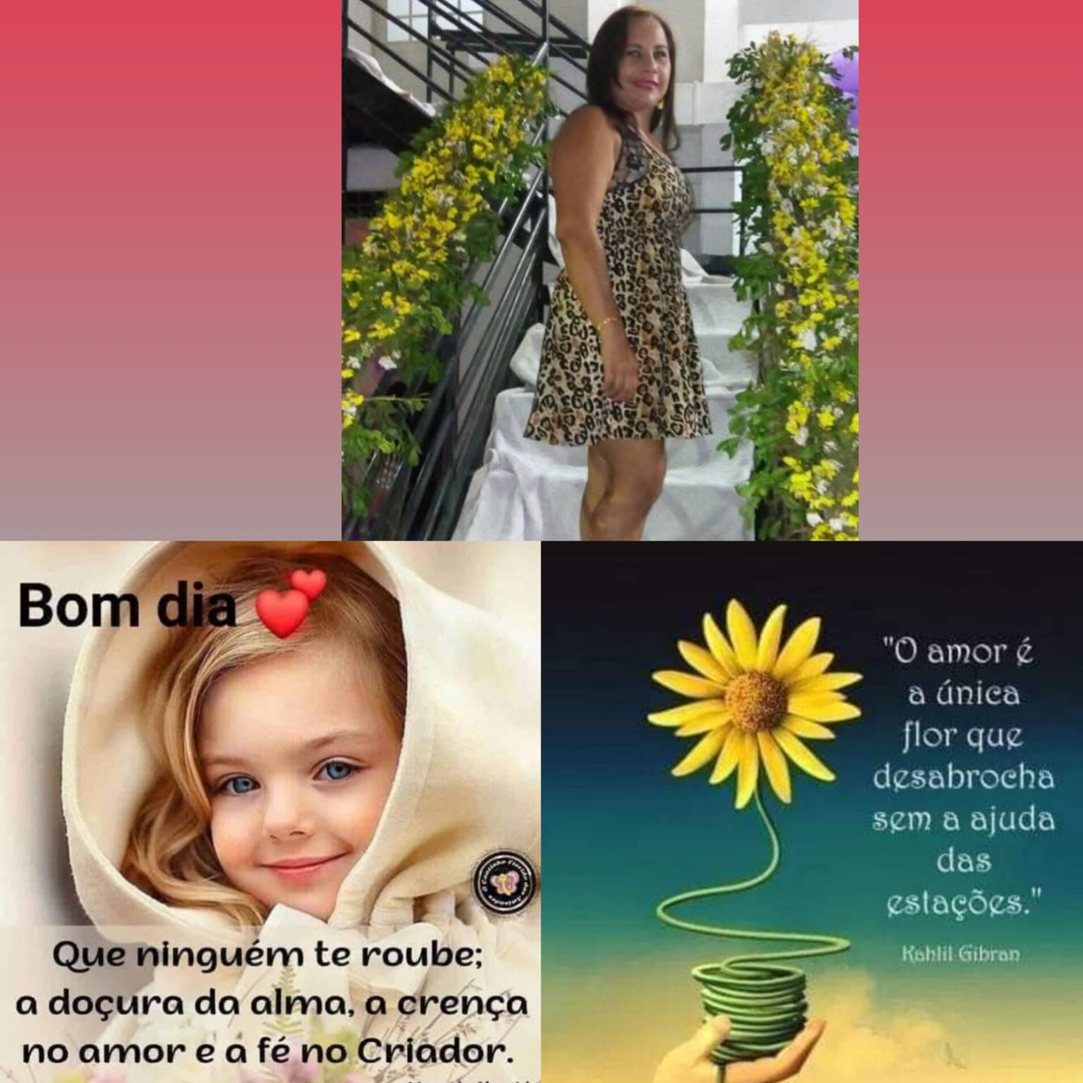 Pensamento do dia.