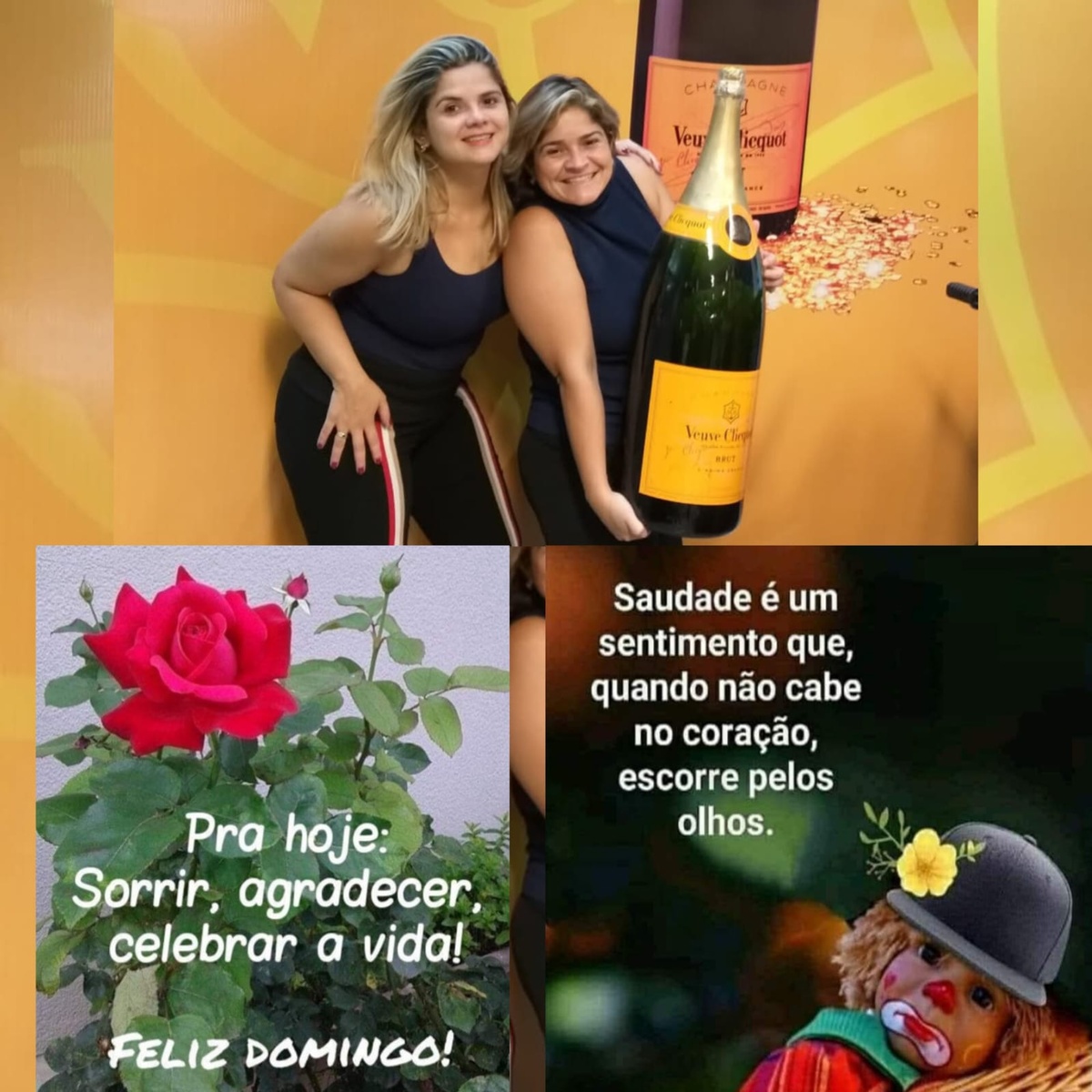Pensamento do dia
