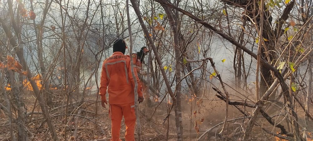 Temperaturas extremas e baixa umidade intensificam queimadas e mobilizam Corpo de Bombeiros.