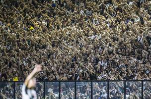Torcida do Vasco poderá acompanhar treino em São Januário (Foto: Daniel Ramalho/Vasco)