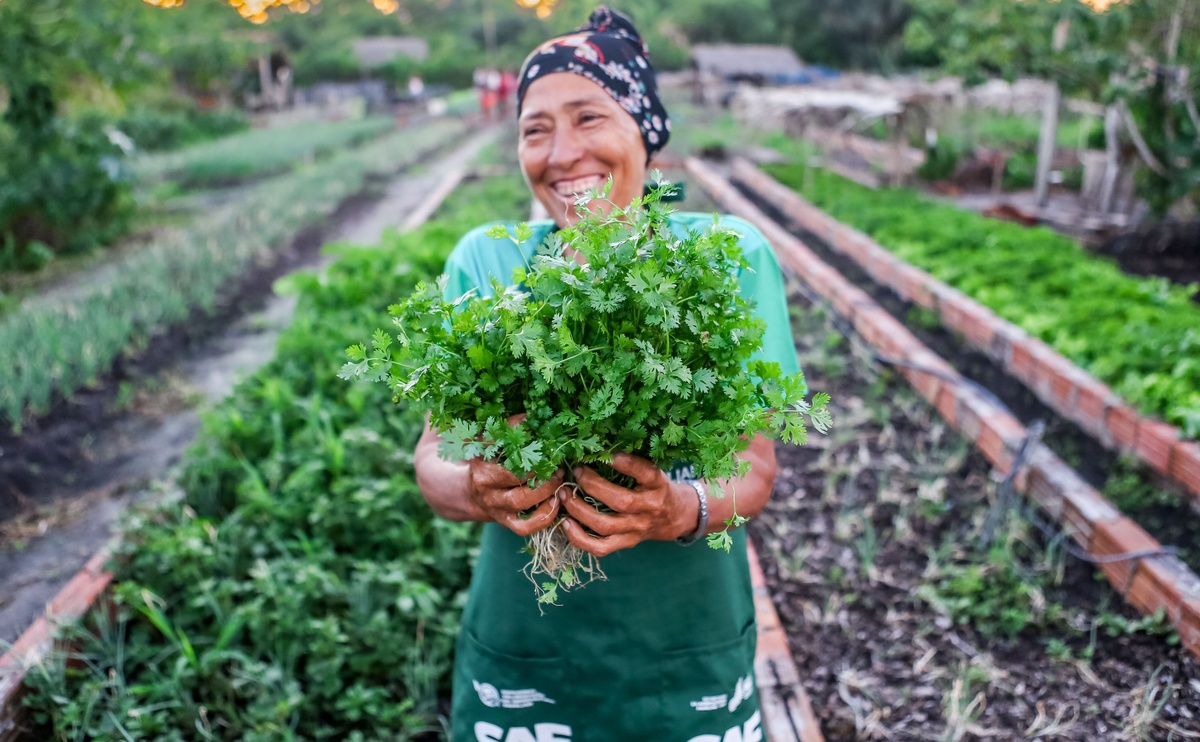 Agricultura familiar e renda per-capita
