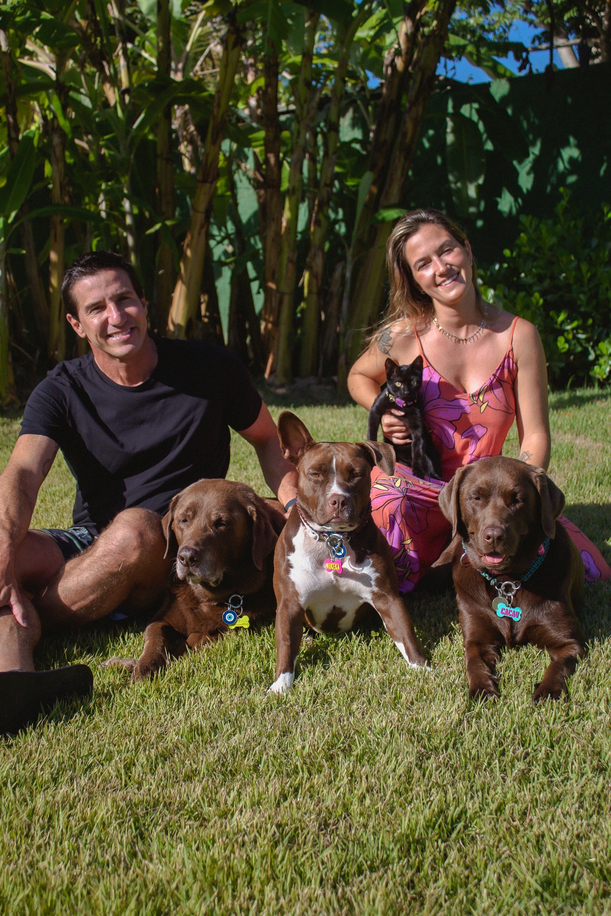 Animais também precisam se exercitar