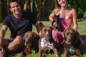 Animais também precisam se exercitar (Foto: Divulgacao)