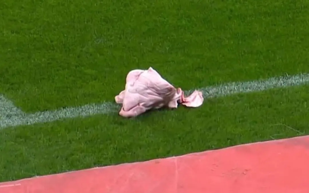 Cabeça de porco é arremessada no campo durante Corinthians x Palmeiras