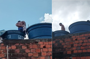 Capa (Foto: Reprodução)
