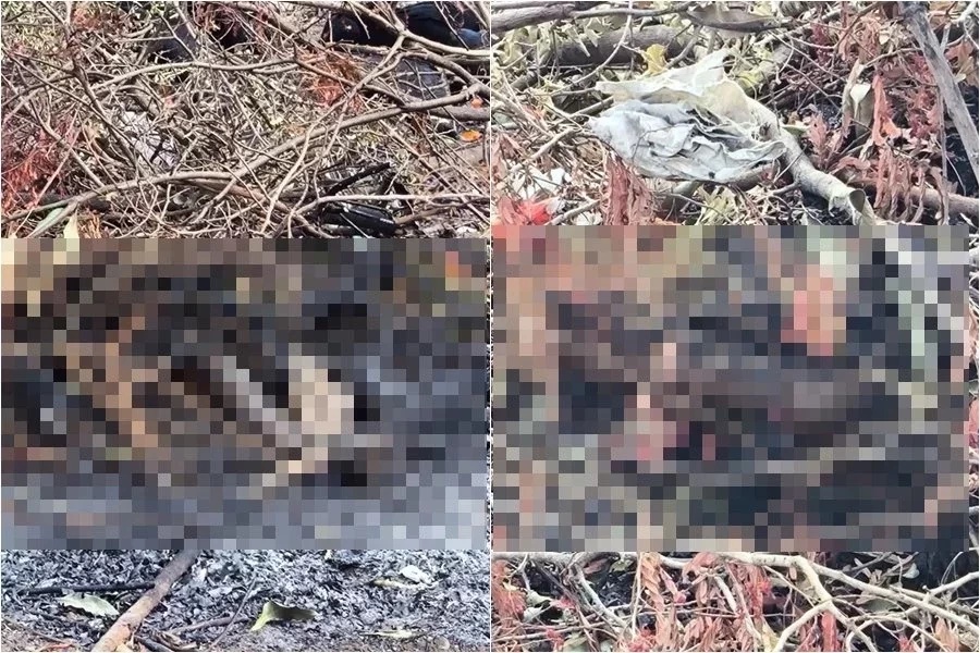 Corpo de mulher é encontrado carbonizado em lixão na zona Sul de Teresina