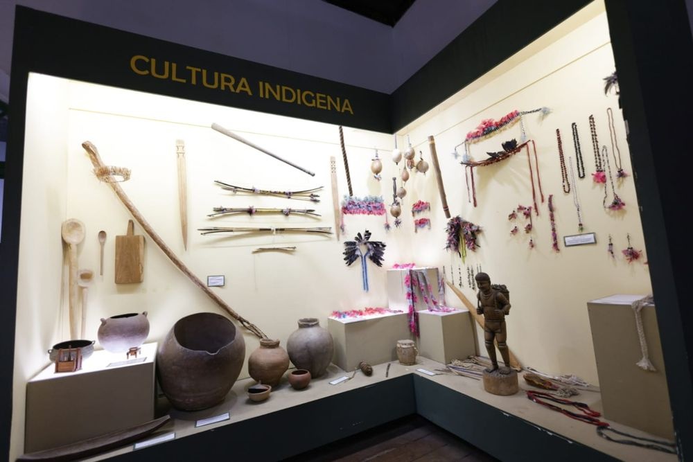 Cultura indígena