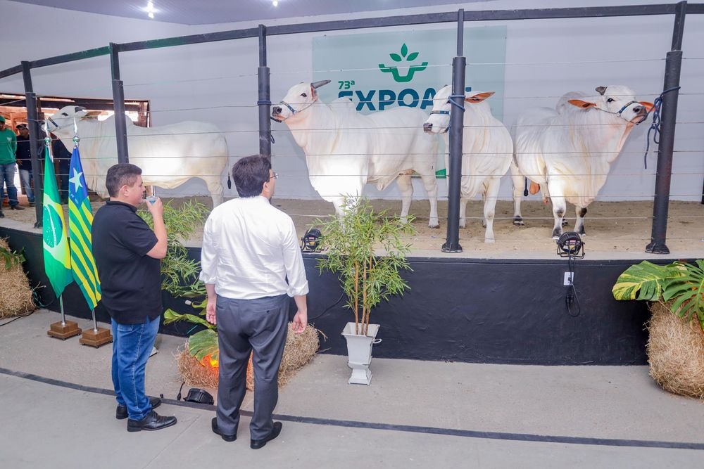 Expoapi 2024