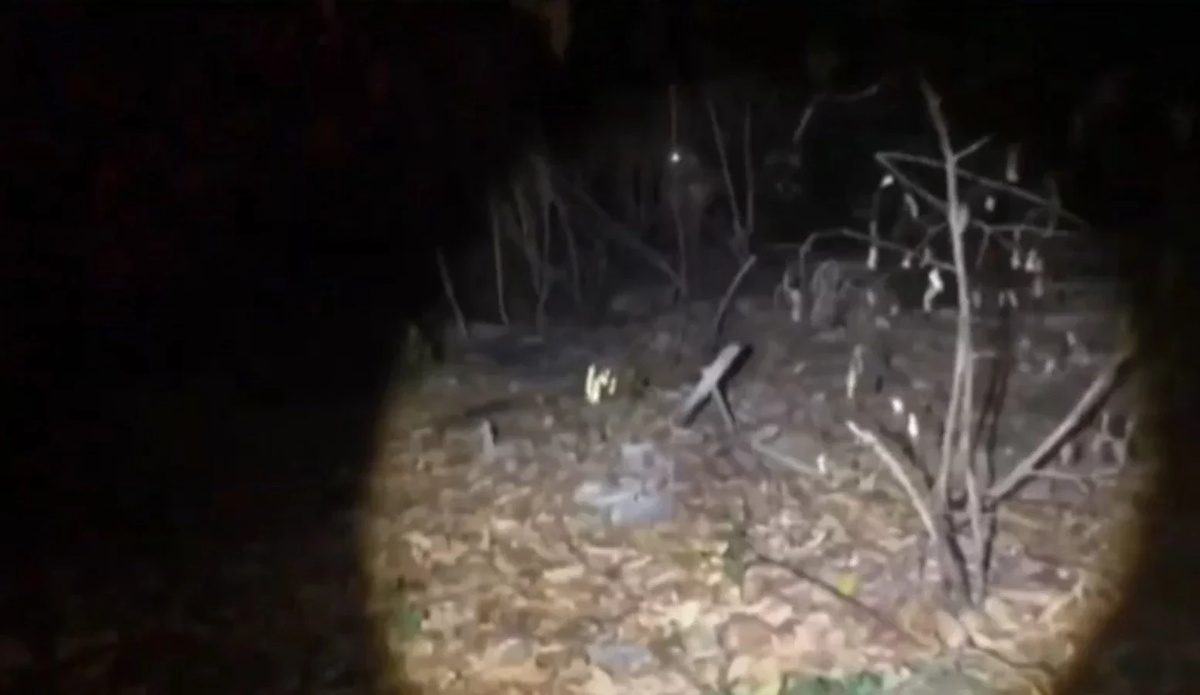 Homem é baleado, sequestrado e abandonado em matagal na zona Leste de Teresina
