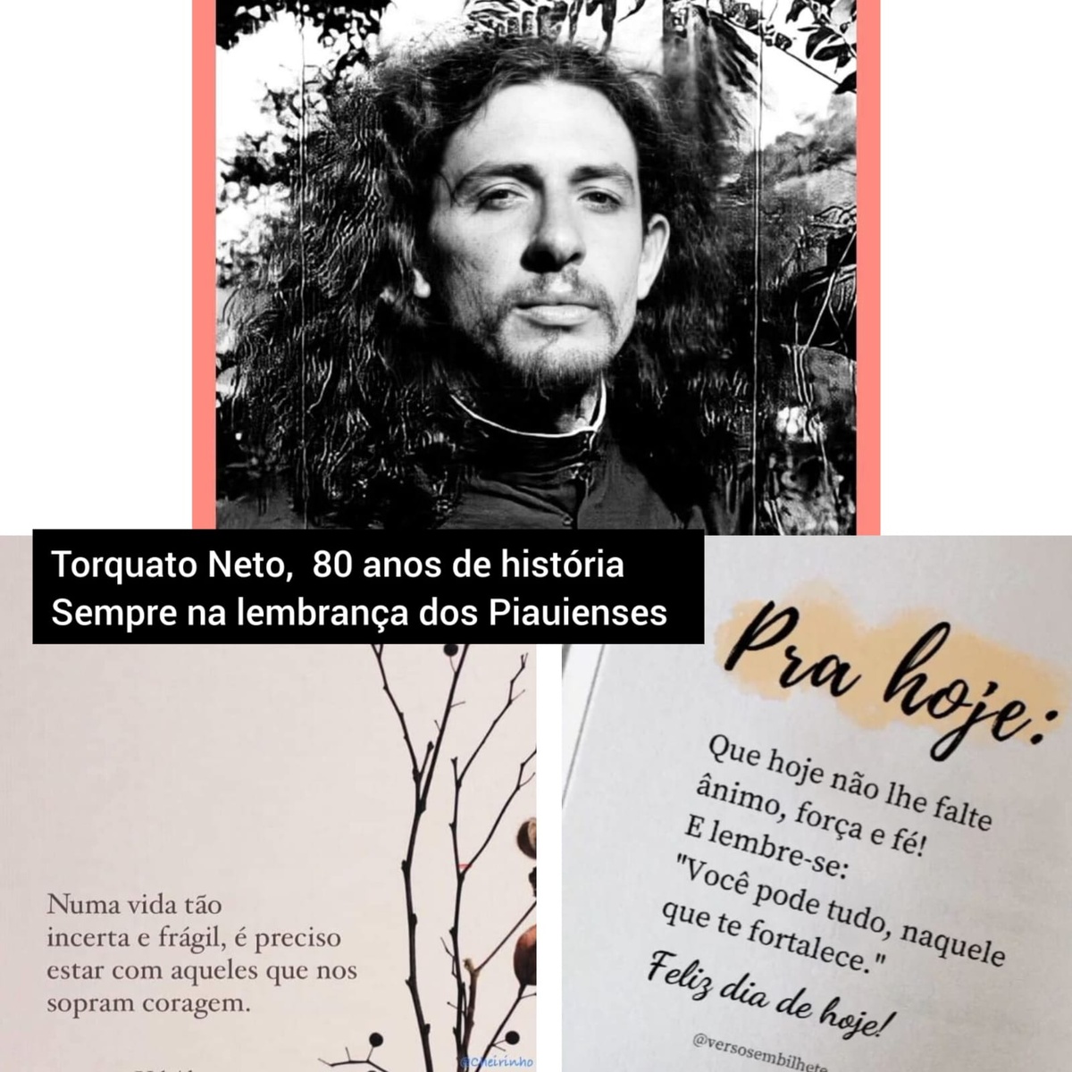 Pensamento do dia.