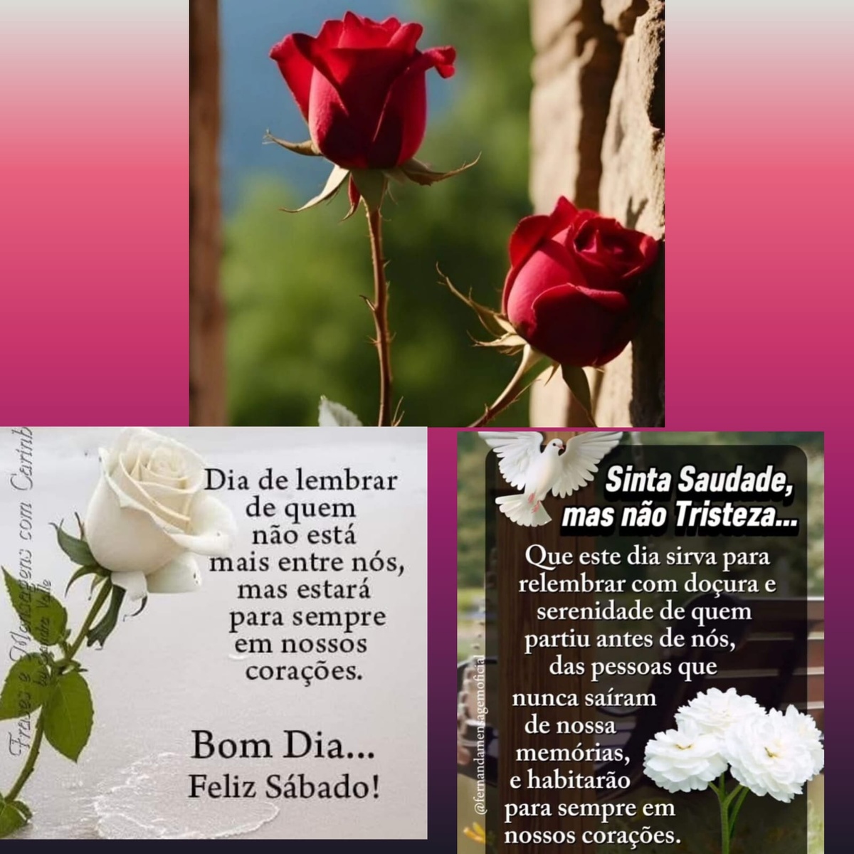 Pensamento do dia