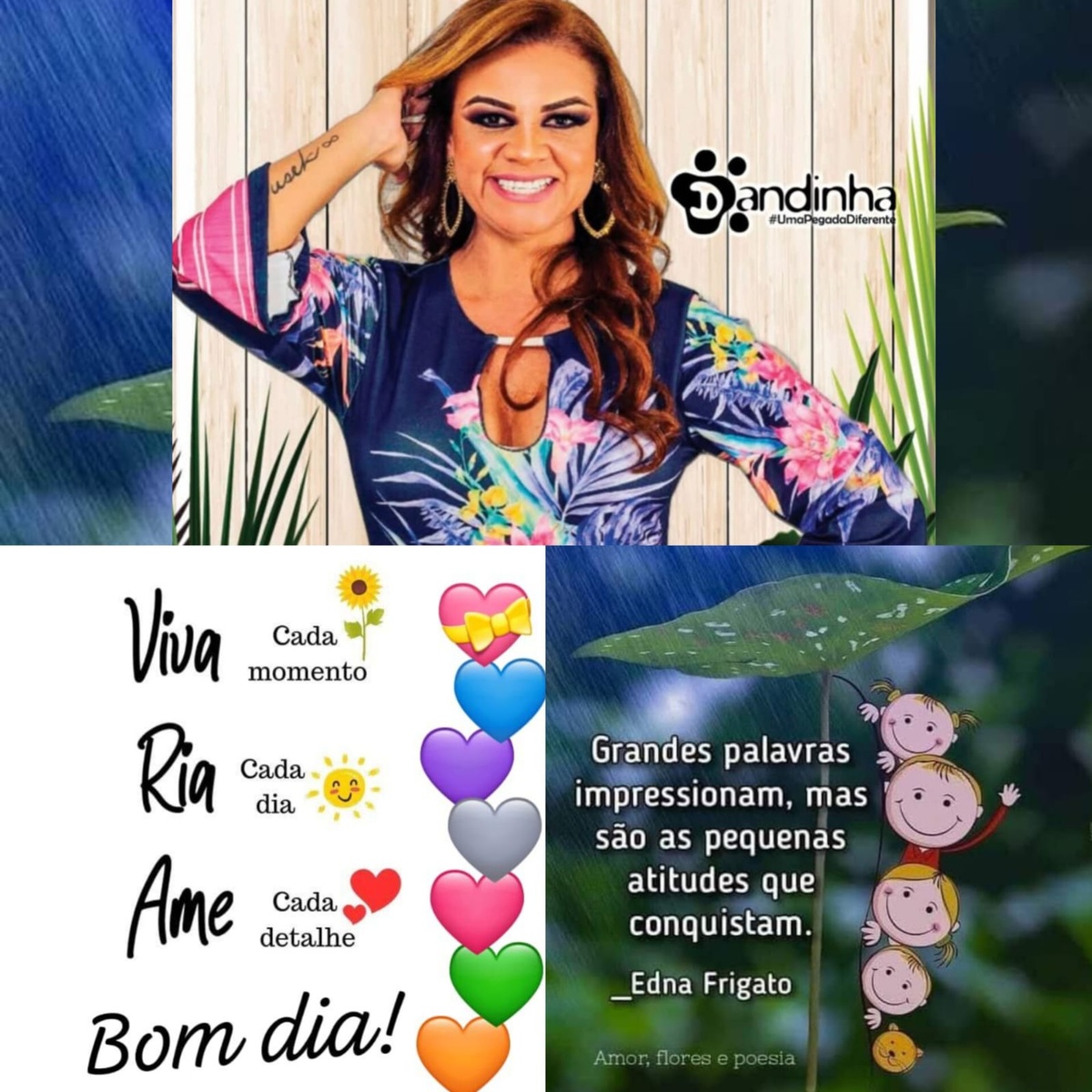 Pensamento do dia