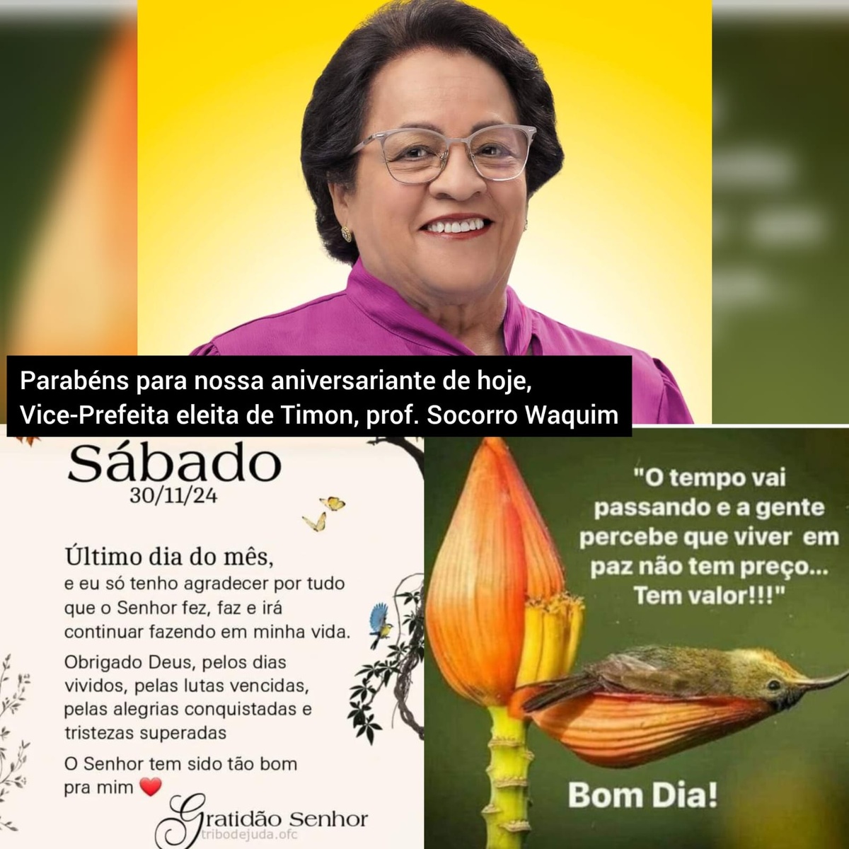 Pensamento do dia